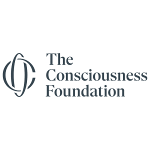 The Consciousness Foundation